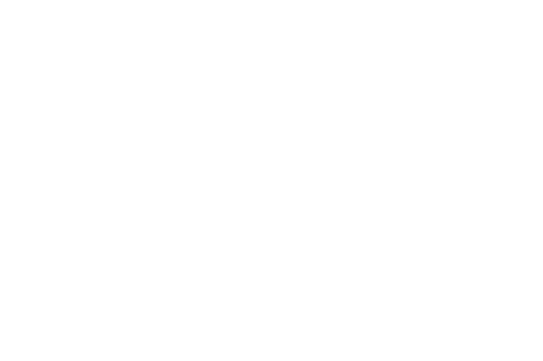 BOIRO